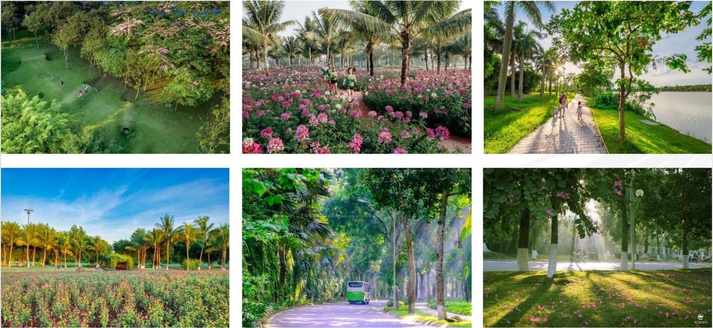 Hình ảnh thực tế: cây xanh cảnh quan của chủ đầu tư Ecopark đã triển khai tại khu đô thị Ecopark Hưng Yên (120 cây/ người)